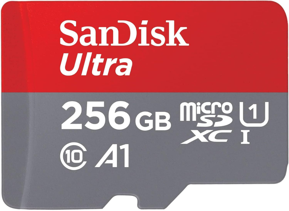 256GB SD Card